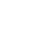 Palm